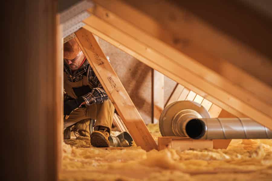 Termite damage contractors in Indianapolis.