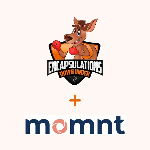 Momnt Financing for crawl space post pier foundation repair services in Indianapolis.