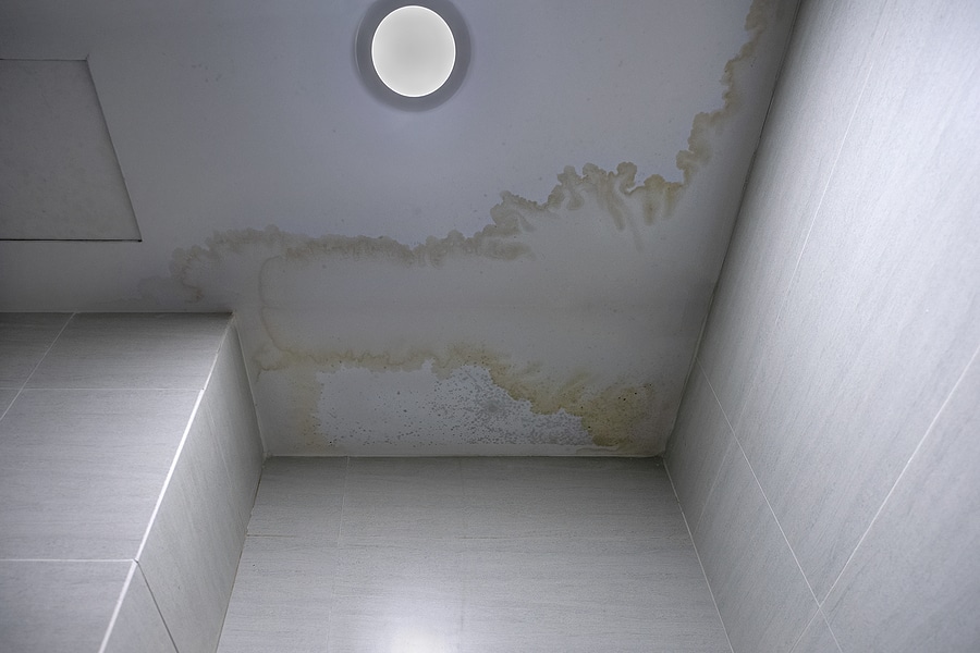 5 Signs You Have A Water Leak in Your Basement
